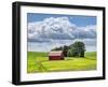 USA, Washington State, Palouse, Old Red barn with fresh green fields-Terry Eggers-Framed Photographic Print