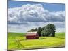 USA, Washington State, Palouse, Old Red barn with fresh green fields-Terry Eggers-Mounted Photographic Print