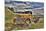 USA, Washington State, Palouse. Old Truck Abandoned in Field-Terry Eggers-Mounted Photographic Print