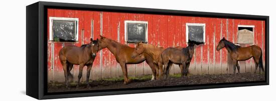 USA, Washington State, Palouse. Panoramic of horses next to red barn.-Jaynes Gallery-Framed Stretched Canvas
