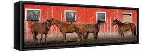 USA, Washington State, Palouse. Panoramic of horses next to red barn.-Jaynes Gallery-Framed Stretched Canvas