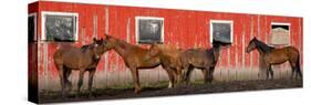 USA, Washington State, Palouse. Panoramic of horses next to red barn.-Jaynes Gallery-Stretched Canvas