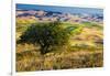 USA, Washington State, Palouse Region, Apple Tree in Rolling harvest Hills-Terry Eggers-Framed Photographic Print