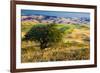 USA, Washington State, Palouse Region, Apple Tree in Rolling harvest Hills-Terry Eggers-Framed Premium Photographic Print