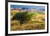 USA, Washington State, Palouse Region, Apple Tree in Rolling harvest Hills-Terry Eggers-Framed Premium Photographic Print