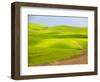 USA, Washington State, Palouse Region. Backcountry road leading through a field of wheat-Terry Eggers-Framed Photographic Print