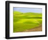 USA, Washington State, Palouse Region. Backcountry road leading through a field of wheat-Terry Eggers-Framed Photographic Print