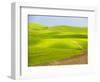 USA, Washington State, Palouse Region. Backcountry road leading through a field of wheat-Terry Eggers-Framed Photographic Print