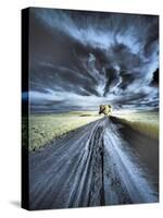 USA, Washington State, Palouse region, Backcountry road leading to Lone Tree-Terry Eggers-Stretched Canvas