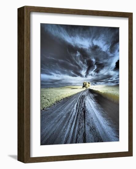 USA, Washington State, Palouse region, Backcountry road leading to Lone Tree-Terry Eggers-Framed Photographic Print