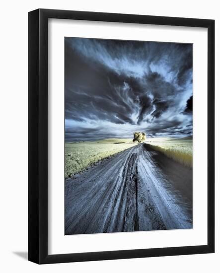 USA, Washington State, Palouse region, Backcountry road leading to Lone Tree-Terry Eggers-Framed Photographic Print