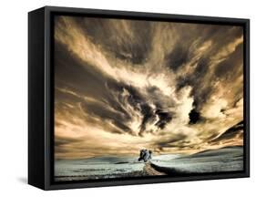 USA, Washington State, Palouse region, Backcountry road leading to Lone Tree-Terry Eggers-Framed Stretched Canvas