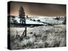 USA, Washington State, Palouse region, Bridge across Palouse river-Terry Eggers-Stretched Canvas