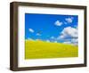 USA, Washington State, Palouse Region. Canola fields with weathervane-Terry Eggers-Framed Photographic Print