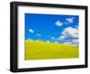 USA, Washington State, Palouse Region. Canola fields with weathervane-Terry Eggers-Framed Photographic Print