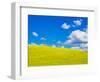 USA, Washington State, Palouse Region. Canola fields with weathervane-Terry Eggers-Framed Photographic Print