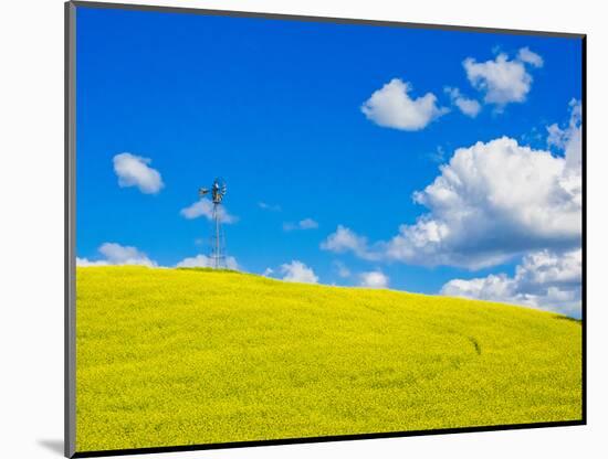 USA, Washington State, Palouse Region. Canola fields with weathervane-Terry Eggers-Mounted Photographic Print