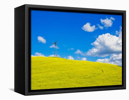 USA, Washington State, Palouse Region. Canola fields with weathervane-Terry Eggers-Framed Stretched Canvas