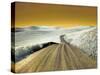 USA, Washington State, Palouse region, Country backroad through wheat fields-Terry Eggers-Stretched Canvas