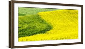 USA, Washington State, Palouse Region. Curve in canola and wheat fields in Spring full bloom-Terry Eggers-Framed Photographic Print