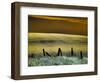 USA, Washington State, Palouse region, Fence and field of wheat-Terry Eggers-Framed Photographic Print