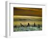 USA, Washington State, Palouse region, Fence and field of wheat-Terry Eggers-Framed Photographic Print