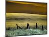 USA, Washington State, Palouse region, Fence and field of wheat-Terry Eggers-Mounted Photographic Print