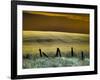 USA, Washington State, Palouse region, Fence and field of wheat-Terry Eggers-Framed Photographic Print