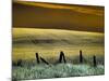 USA, Washington State, Palouse region, Fence and field of wheat-Terry Eggers-Mounted Photographic Print