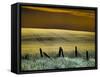 USA, Washington State, Palouse region, Fence and field of wheat-Terry Eggers-Framed Stretched Canvas