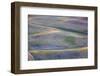 USA, Washington State, Palouse Region, First light on Pea fields-Terry Eggers-Framed Photographic Print