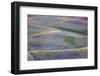 USA, Washington State, Palouse Region, First light on Pea fields-Terry Eggers-Framed Photographic Print