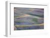 USA, Washington State, Palouse Region, First light on Pea fields-Terry Eggers-Framed Photographic Print