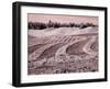 USA, Washington State, Palouse region, Harvest cut lines in Field-Terry Eggers-Framed Photographic Print