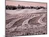 USA, Washington State, Palouse region, Harvest cut lines in Field-Terry Eggers-Mounted Photographic Print