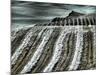 USA, Washington State, Palouse region, Harvest cut lines in Field-Terry Eggers-Mounted Photographic Print