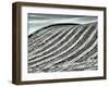 USA, Washington State, Palouse region, Harvest cut lines in Field-Terry Eggers-Framed Photographic Print