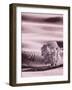 USA, Washington State, Palouse region, Lone tree in Field-Terry Eggers-Framed Photographic Print