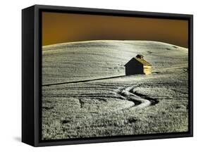 USA, Washington State, Palouse region, Old barn in field of wheat-Terry Eggers-Framed Stretched Canvas
