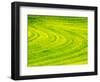 USA, Washington State, Palouse Region. Patterns in Spring Canola field-Terry Eggers-Framed Photographic Print