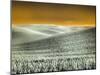 USA, Washington State, Palouse region, Rolling Hills of wheat-Terry Eggers-Mounted Photographic Print