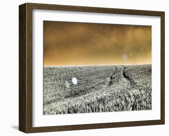 USA, Washington State, Palouse region, Rolling Hills of wheat-Terry Eggers-Framed Photographic Print