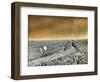 USA, Washington State, Palouse region, Rolling Hills of wheat-Terry Eggers-Framed Photographic Print