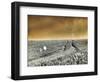 USA, Washington State, Palouse region, Rolling Hills of wheat-Terry Eggers-Framed Photographic Print