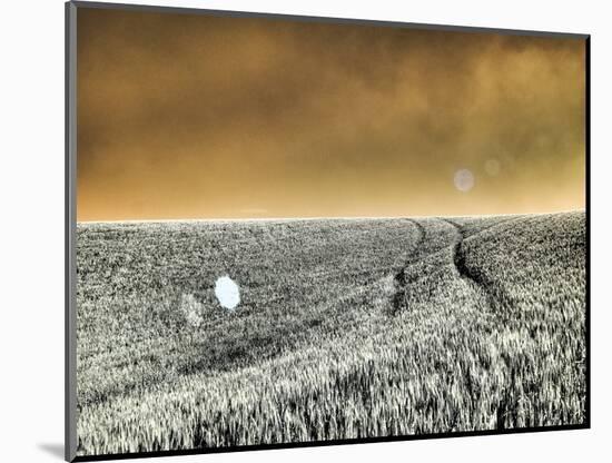 USA, Washington State, Palouse region, Rolling Hills of wheat-Terry Eggers-Mounted Photographic Print