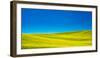 USA, Washington State, Palouse Region. Spring Canola field-Terry Eggers-Framed Photographic Print