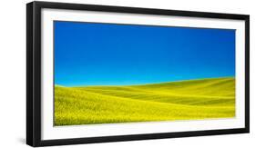 USA, Washington State, Palouse Region. Spring Canola field-Terry Eggers-Framed Photographic Print