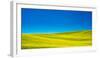 USA, Washington State, Palouse Region. Spring Canola field-Terry Eggers-Framed Photographic Print