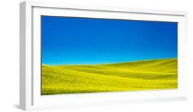 USA, Washington State, Palouse Region. Spring Canola field-Terry Eggers-Framed Photographic Print