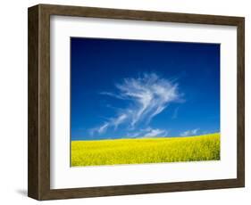 USA, Washington State, Palouse Region. Spring Canola field-Terry Eggers-Framed Photographic Print